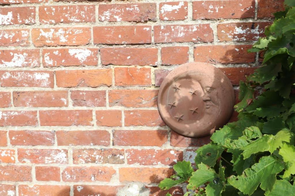 Cute Cottage 4 Mins From Cafes Station And Sea St Leonards-on-Sea Exteriör bild