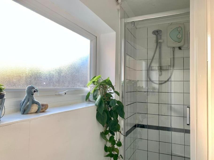 Cute Cottage 4 Mins From Cafes Station And Sea St Leonards-on-Sea Exteriör bild